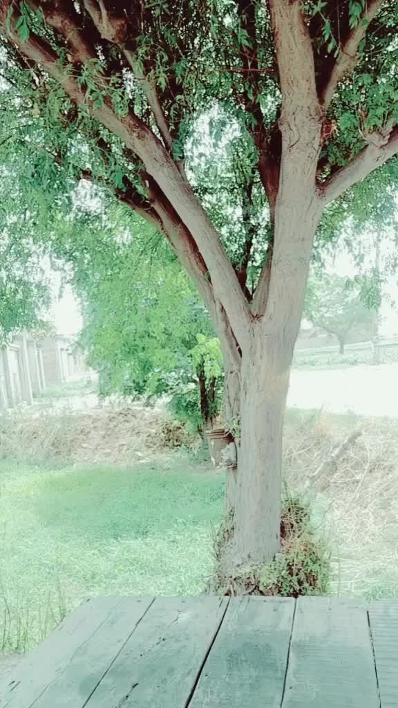 @Ajit Rajpot ,