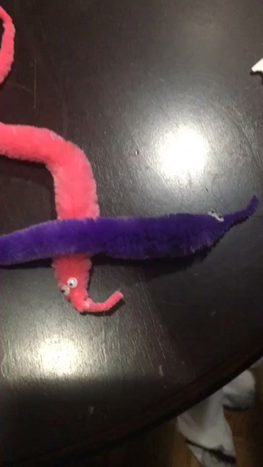 @worms4life