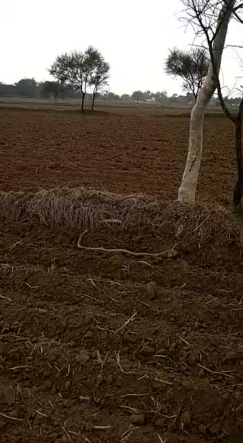 @Girdhar Satnami