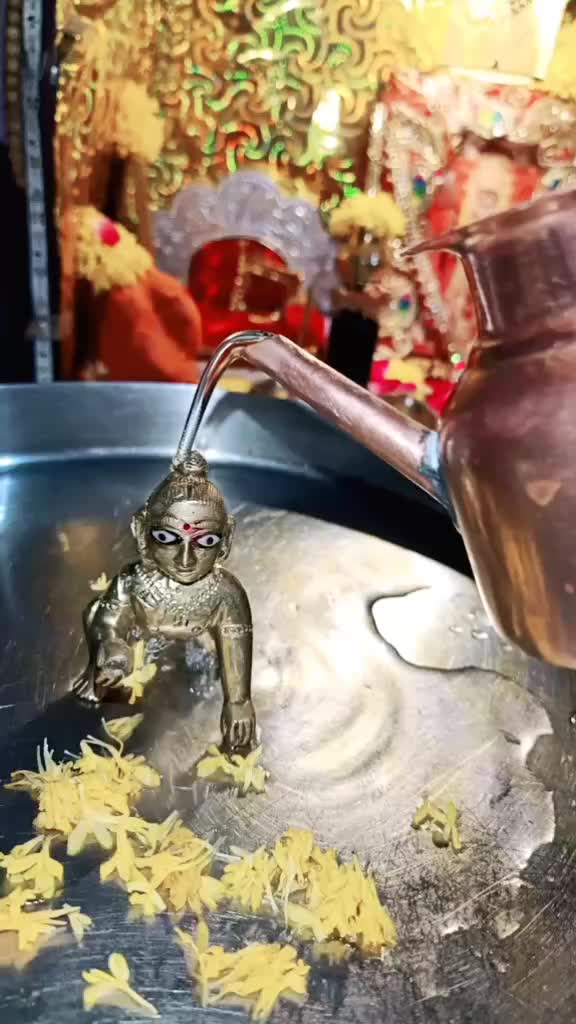 @kisu_pitroda