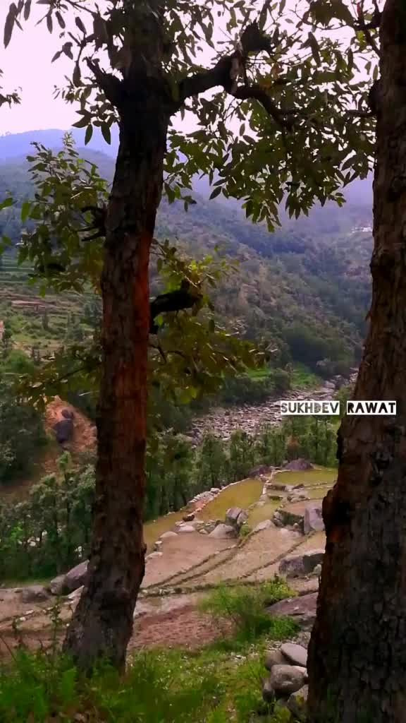 @Sukhdev rawat