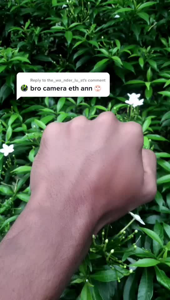 @ഭ്രാന്തൻ