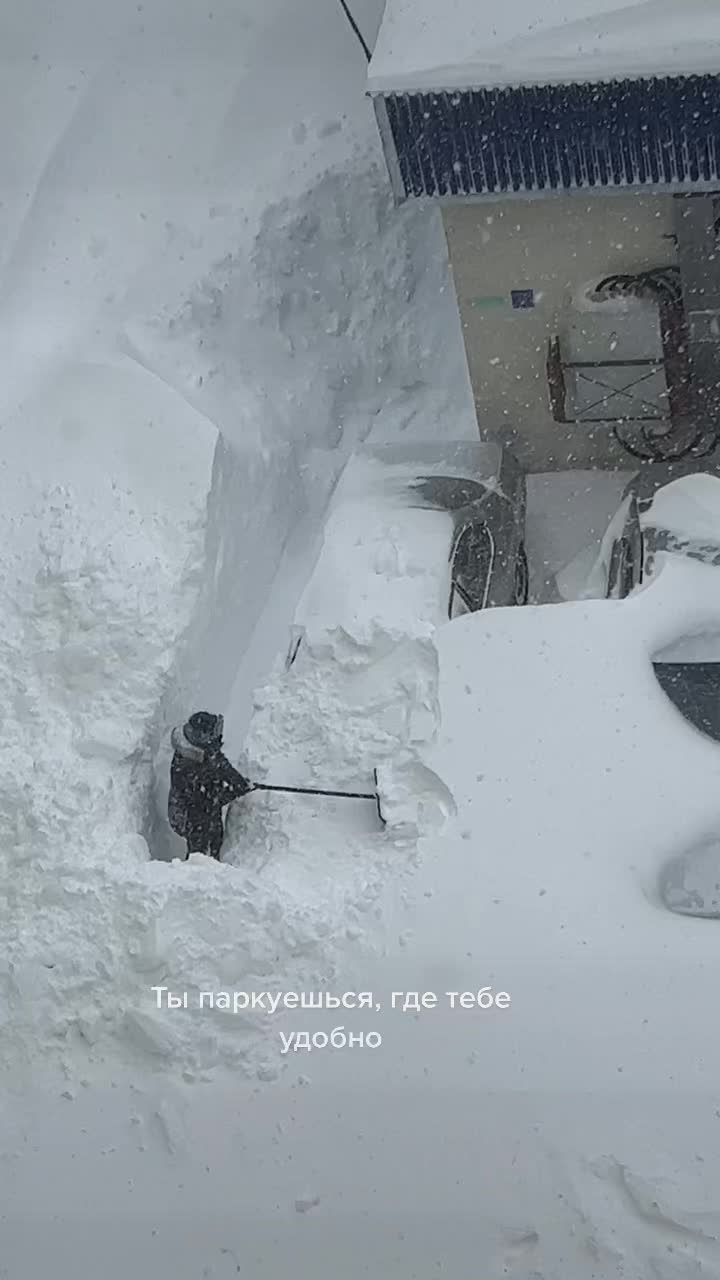 @судный день