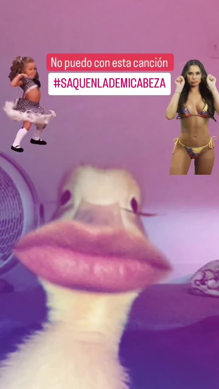 @librancy