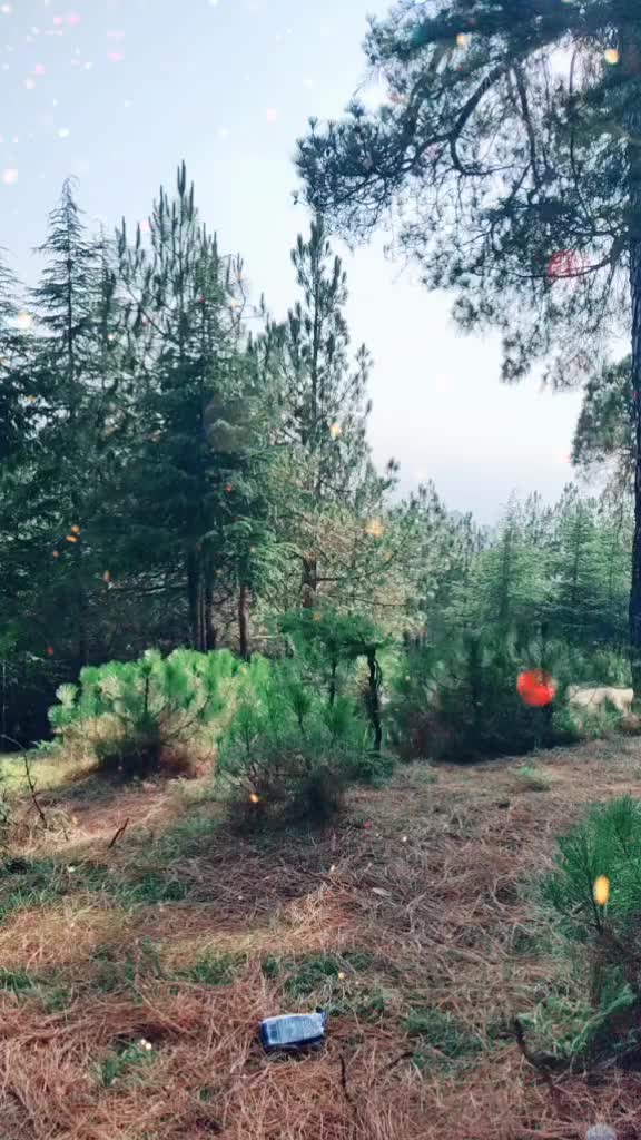@मंडYAL々VK