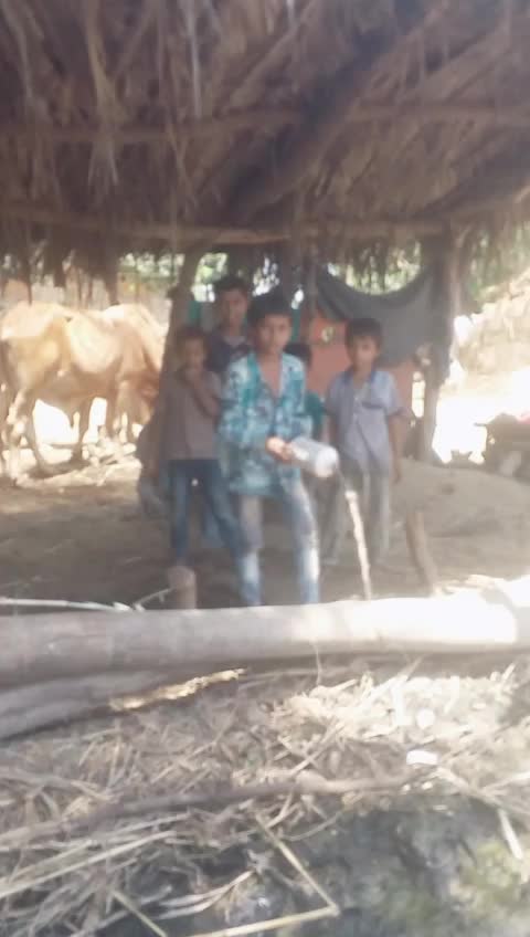 @Raghu Bambhaniya