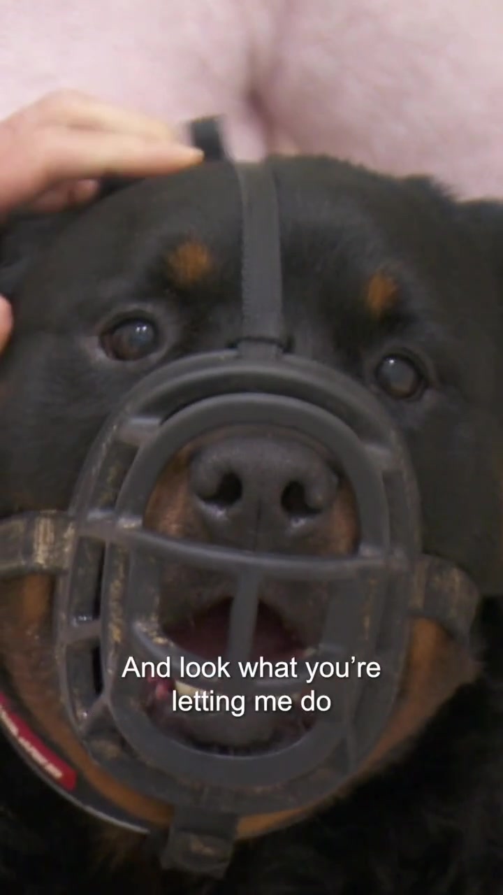 @Bondi Vet