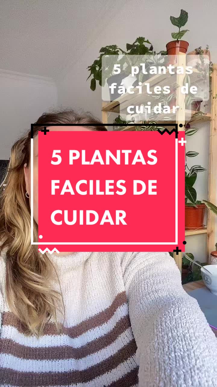 @🌸PlantsMoni🌿