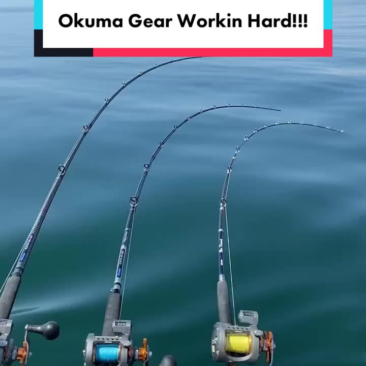 @sportytoofishingcharters