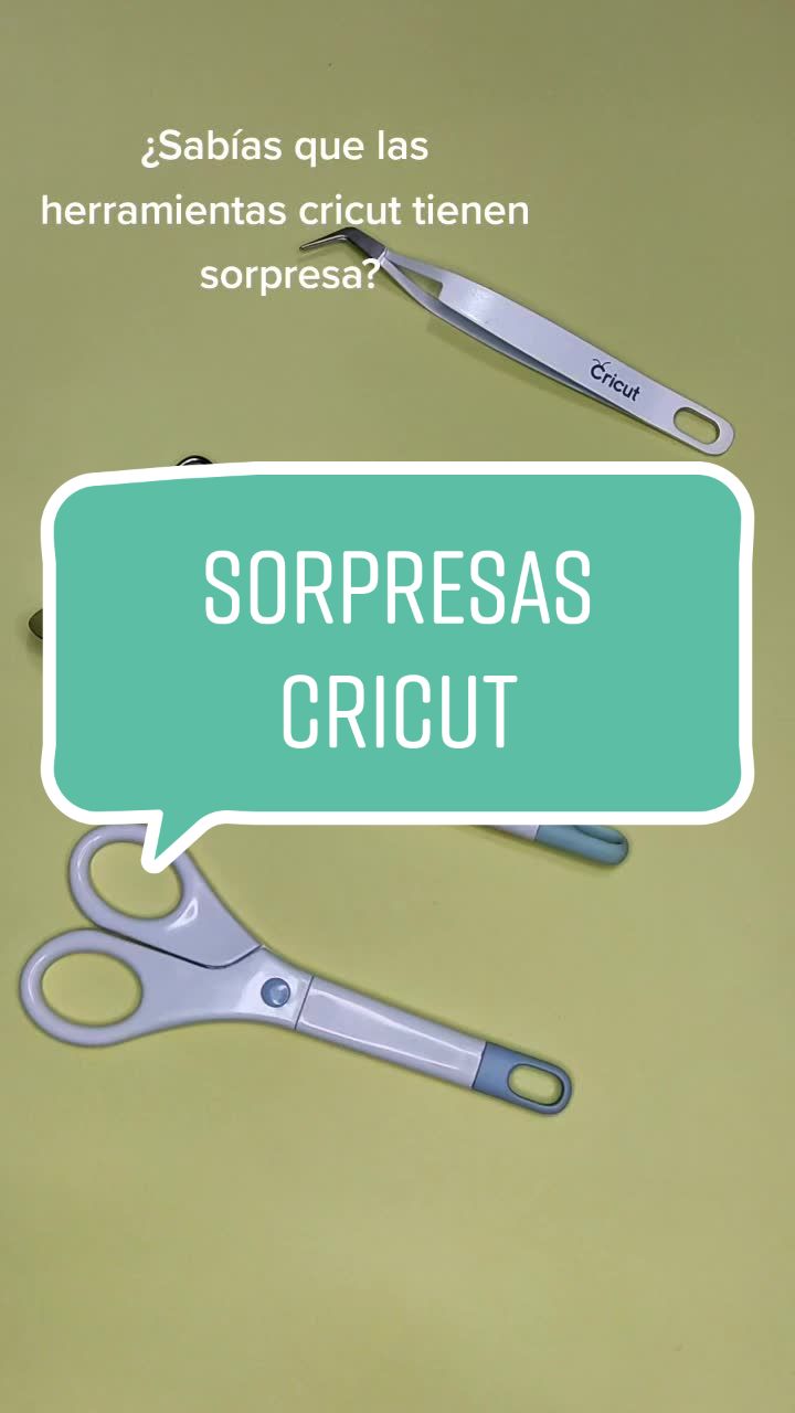 @lascosasdewannea