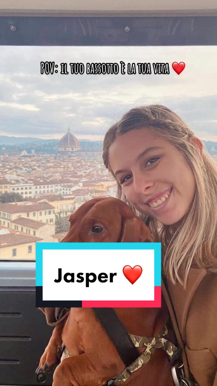 @Il bassotto ๐ฎ๐น๐บ๐ธ | Jasper