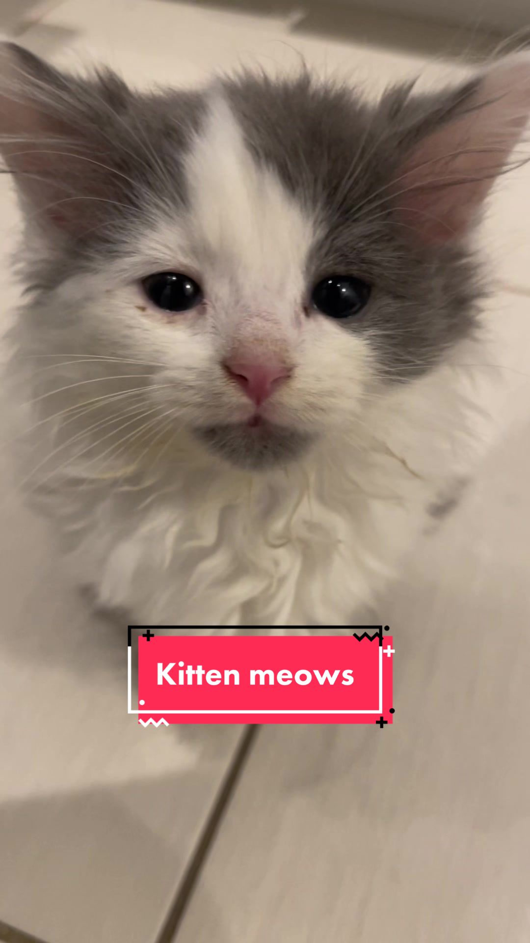 @FerociousRengar