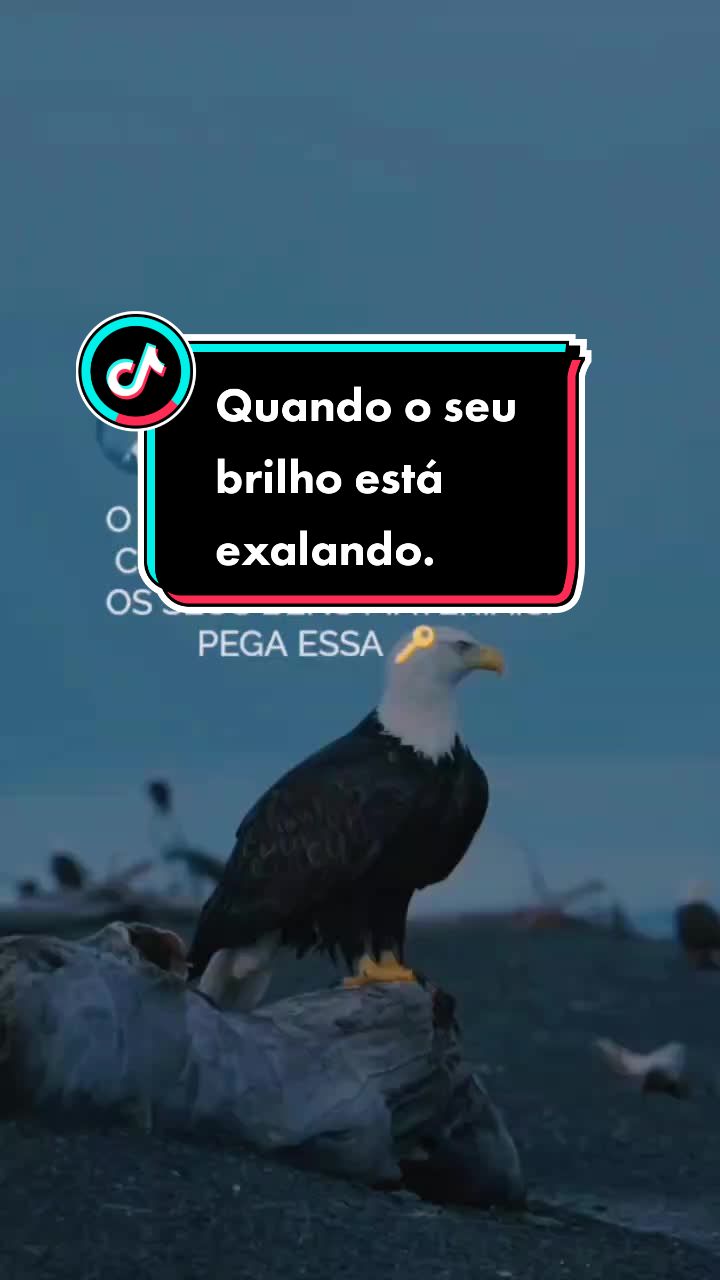 @Massa_FrasesOfc
