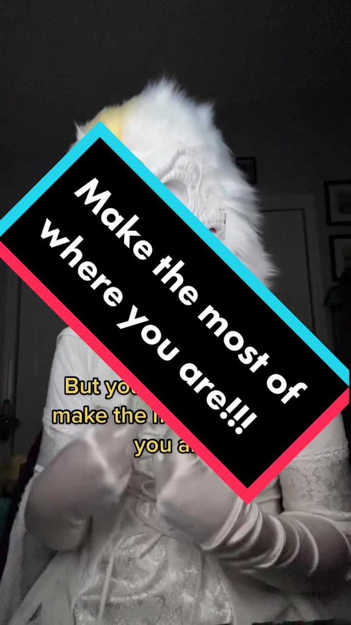 @RoxyTheFolf