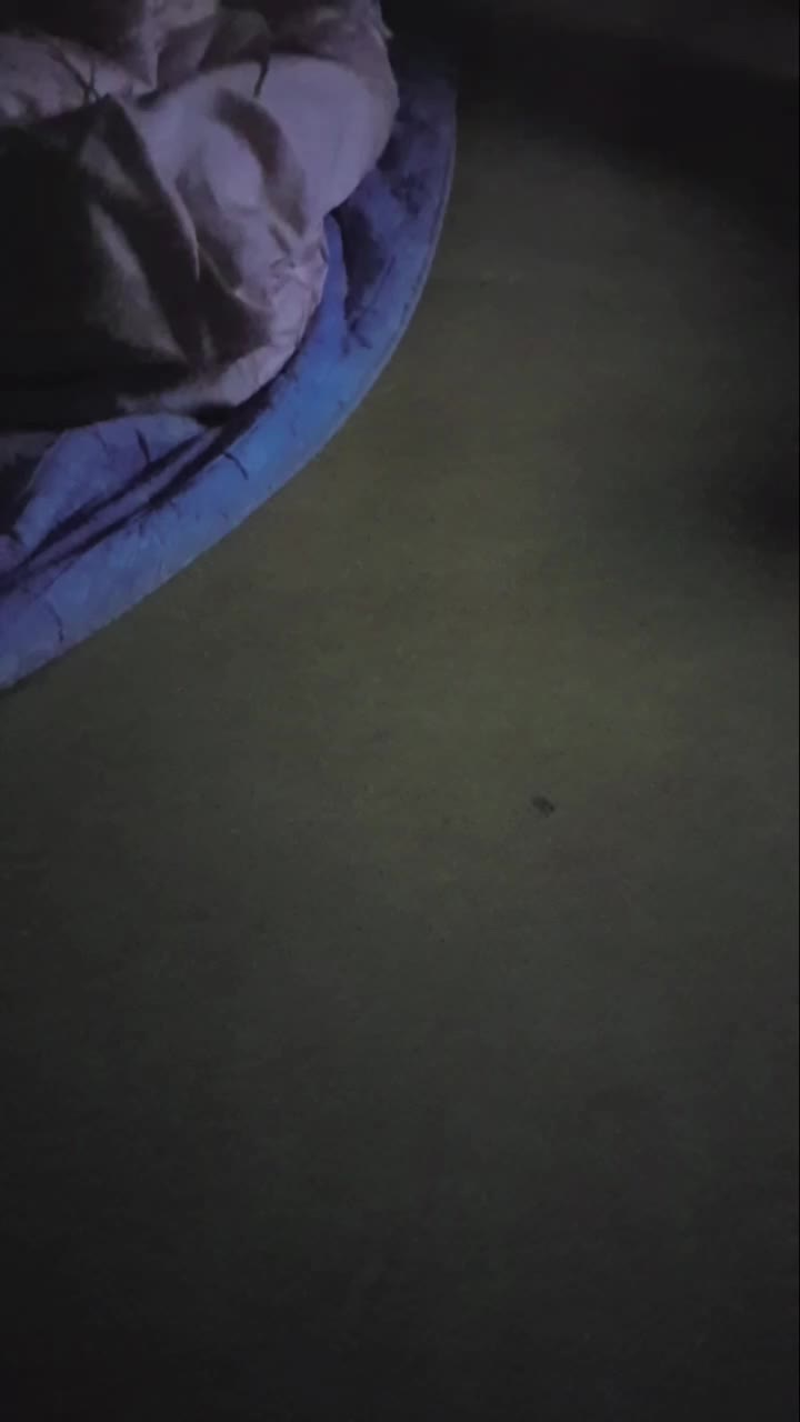 @가족사랑아 아 개웃겨 ㅋㅋㅋㅋㅋ