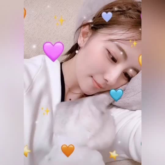 @🐑