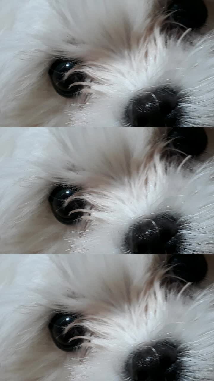 @구름이의 일상