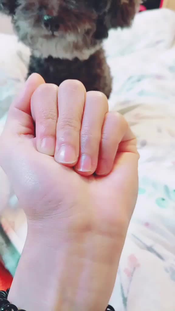 @Angelababy 943