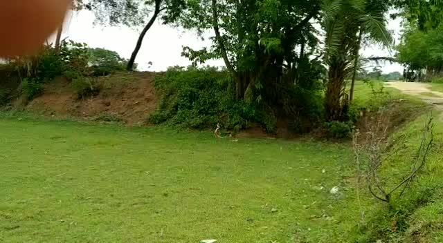 @Surajit Mahato