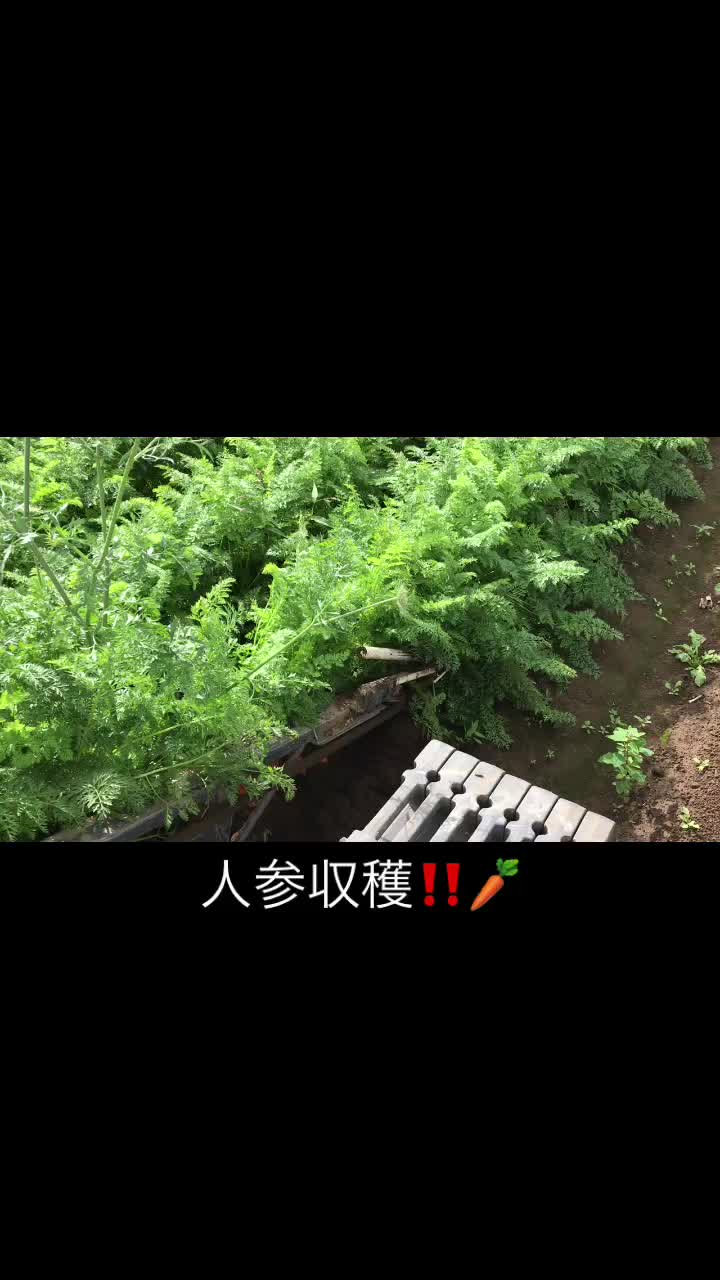 @アグリノムラ