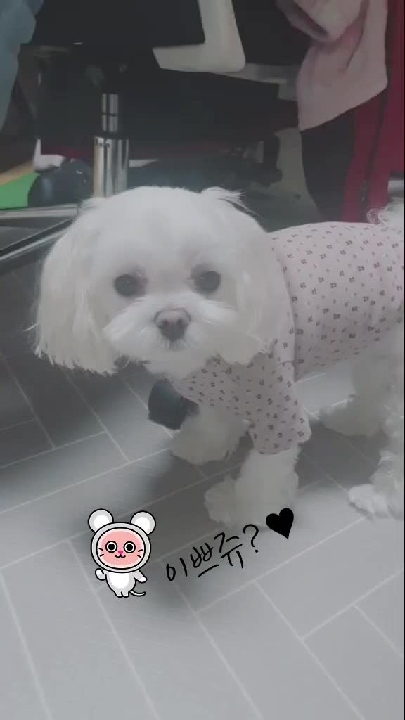 @PINKํ ๋ฆฌ๐