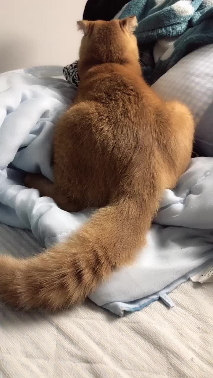 @LIZ💜道玄坂69