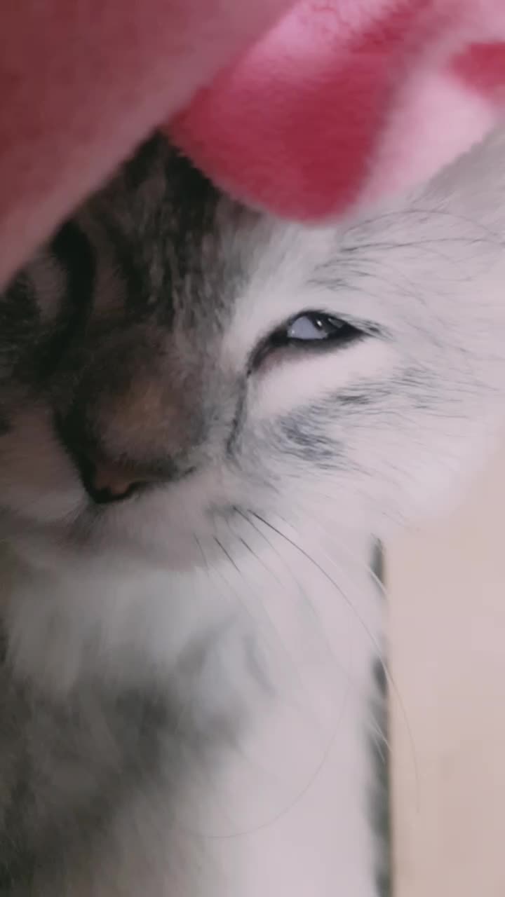 @[]Lin{그림쟁이✍}