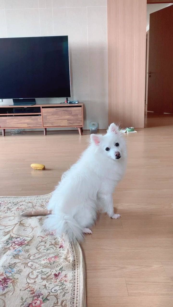 @์๋ Schnee