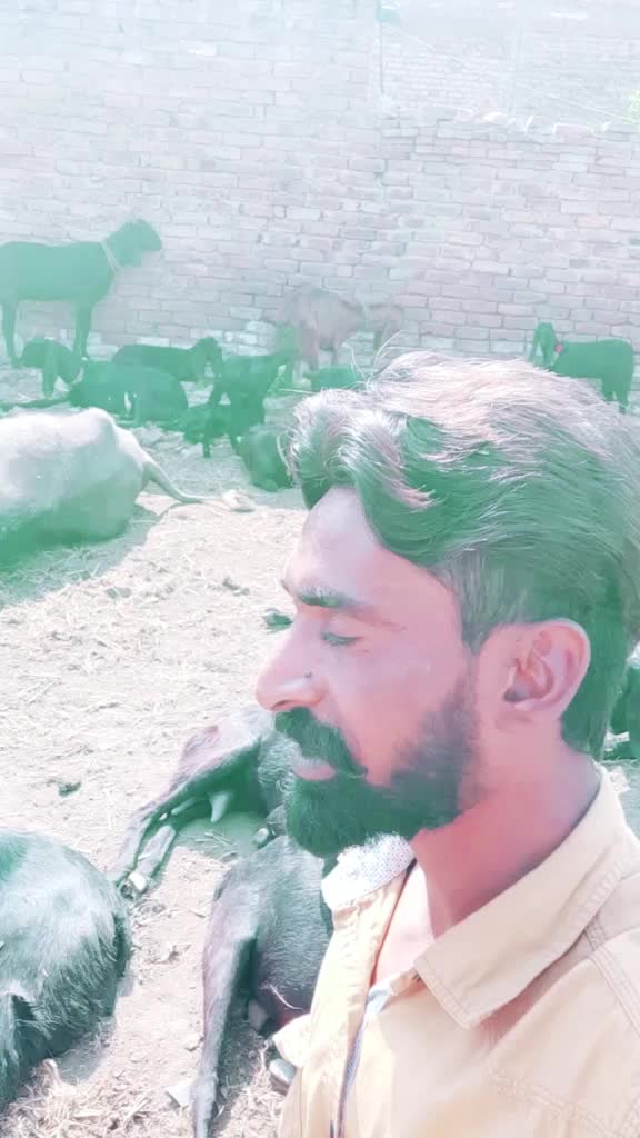 @Satnam Gill