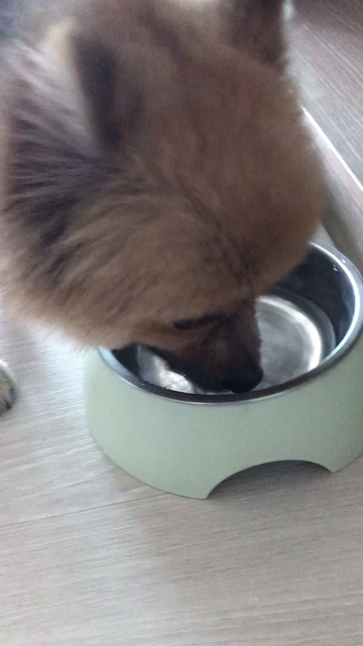 @하꼬꼬