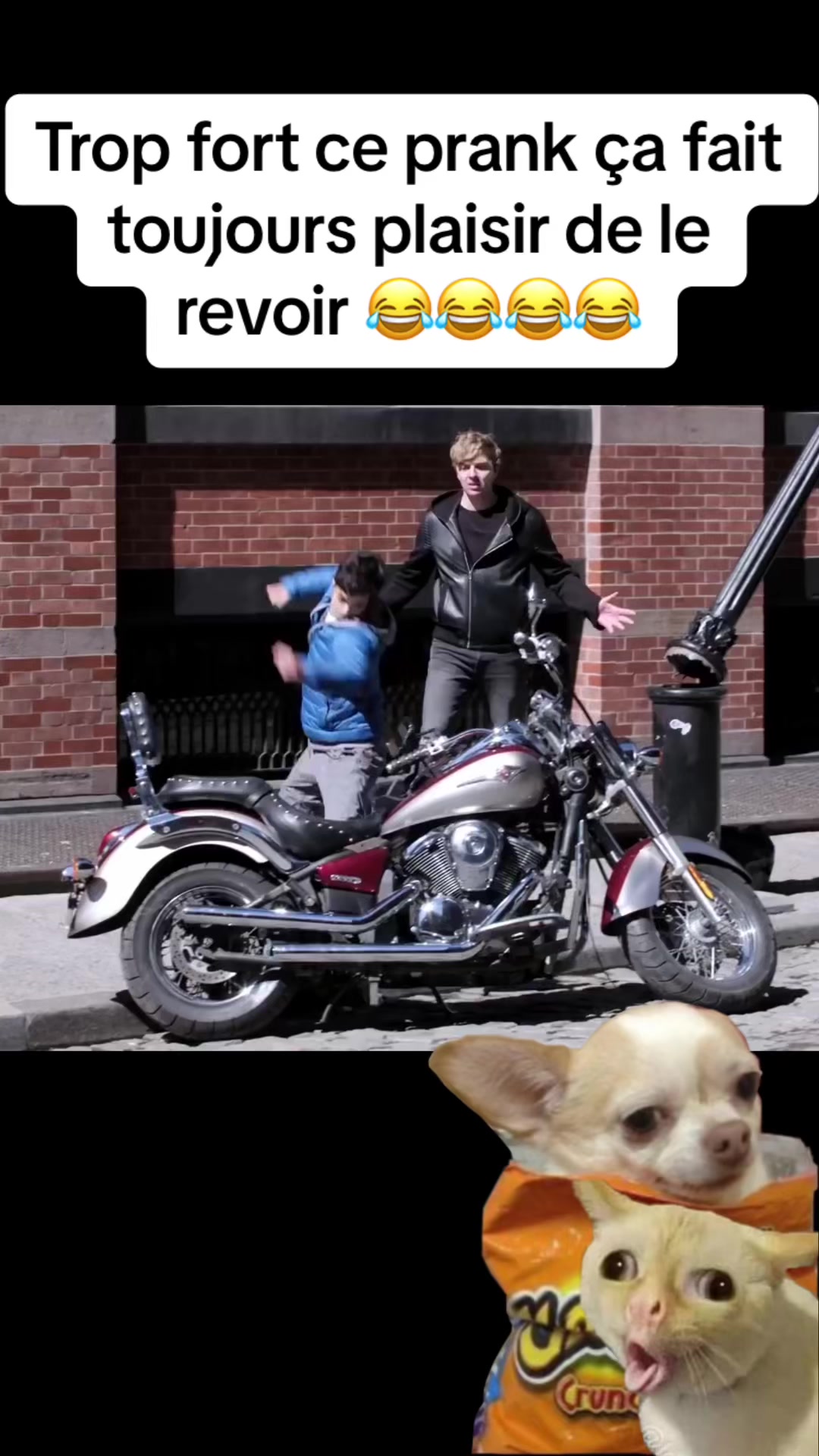 @piwi