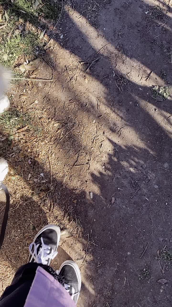 @chiarame97_pt