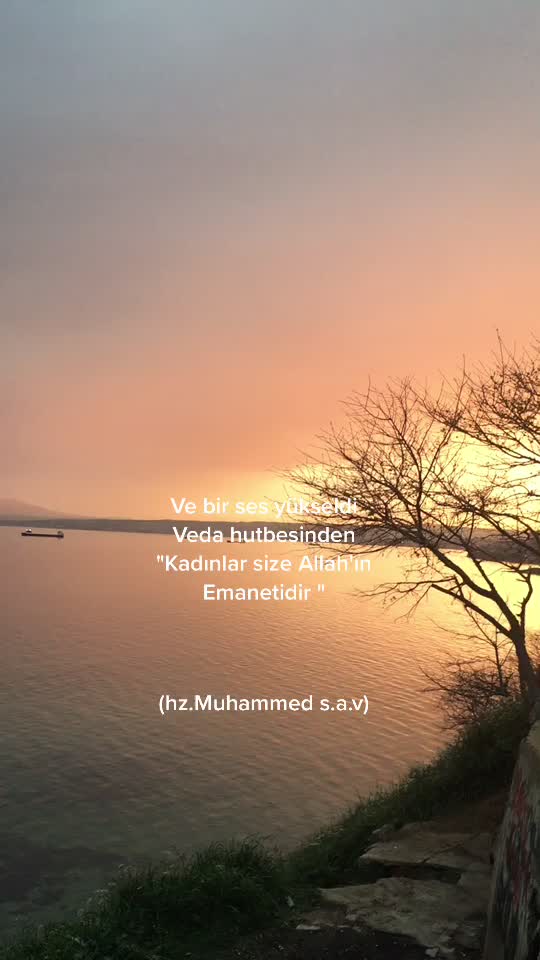 @Mehmet Özcan