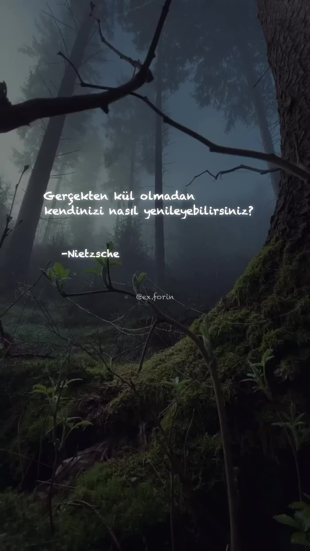 @exforin