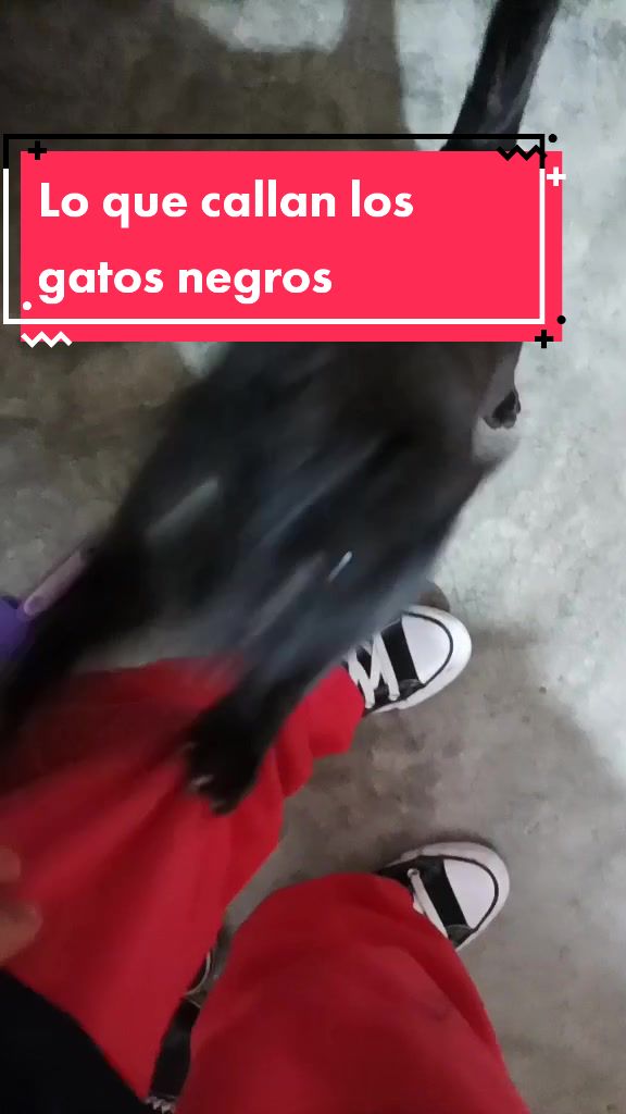 @RaquelOlzon