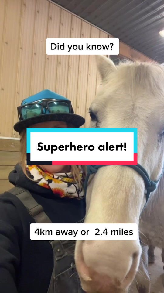 @Shari | Horses & Life Skills