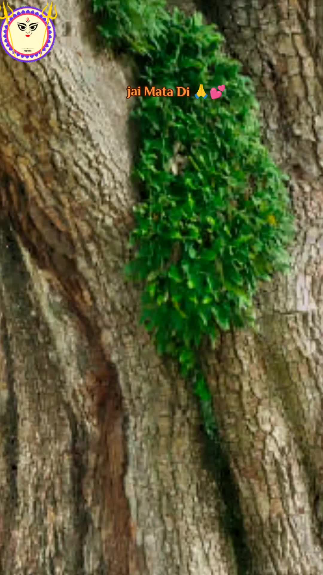 @ððºð¯ððšðŽðŠðŽðŒð²ð¯ð°ððšð©