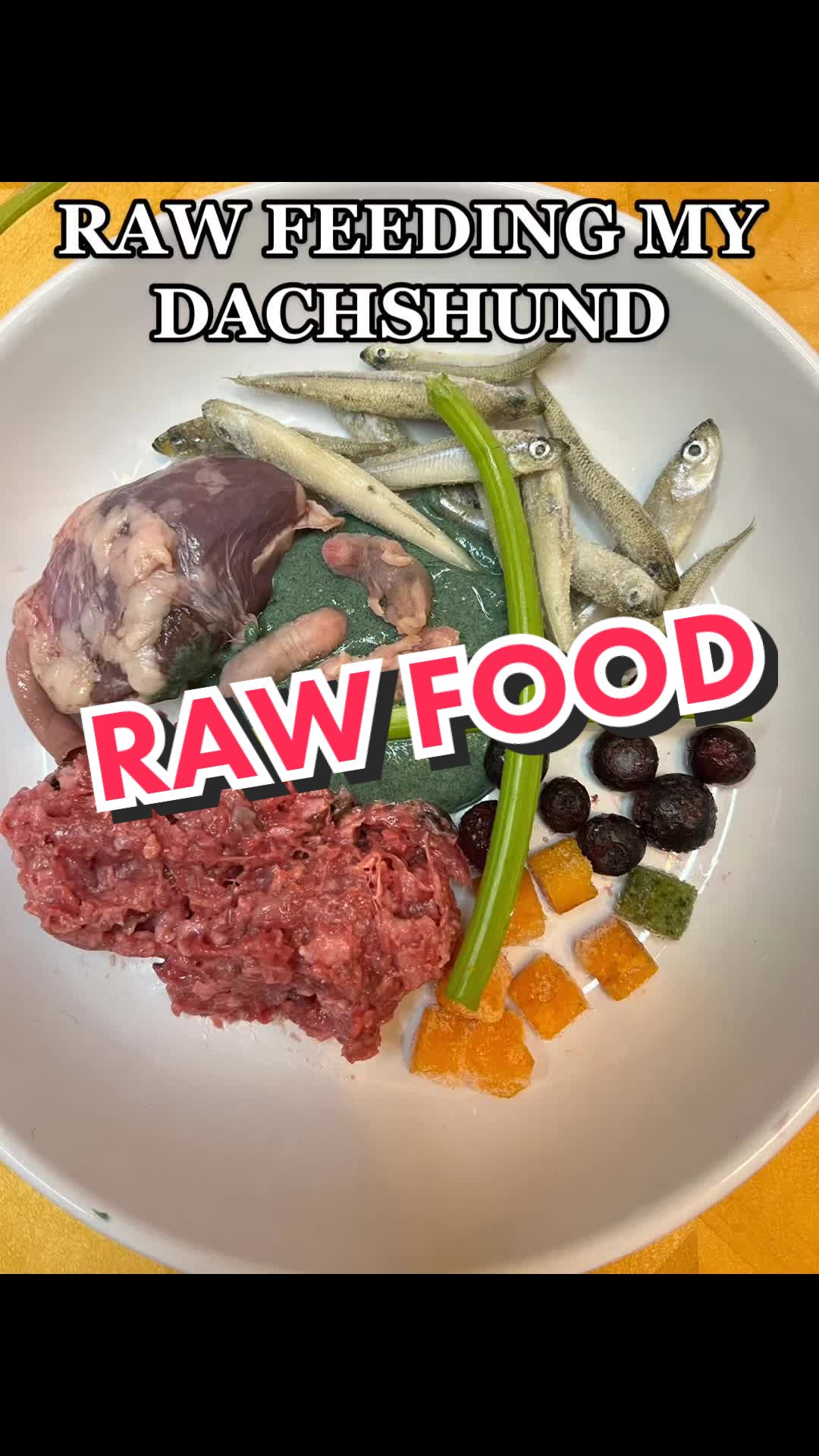 @rawfedASMR