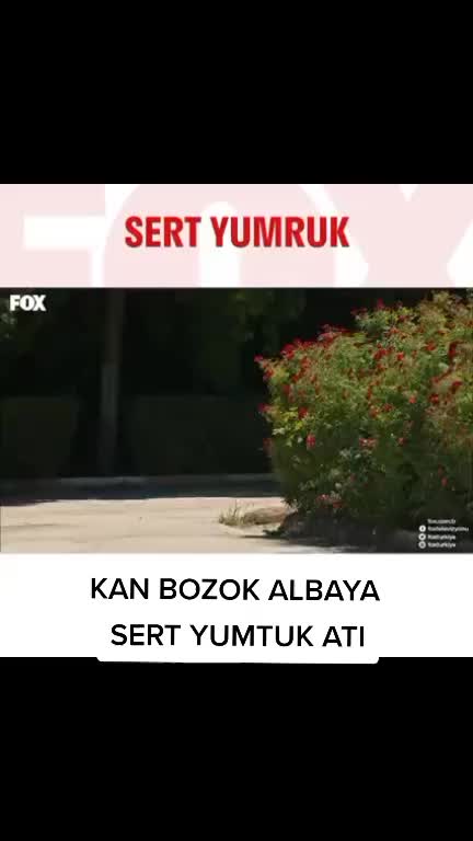 @demir mehmet