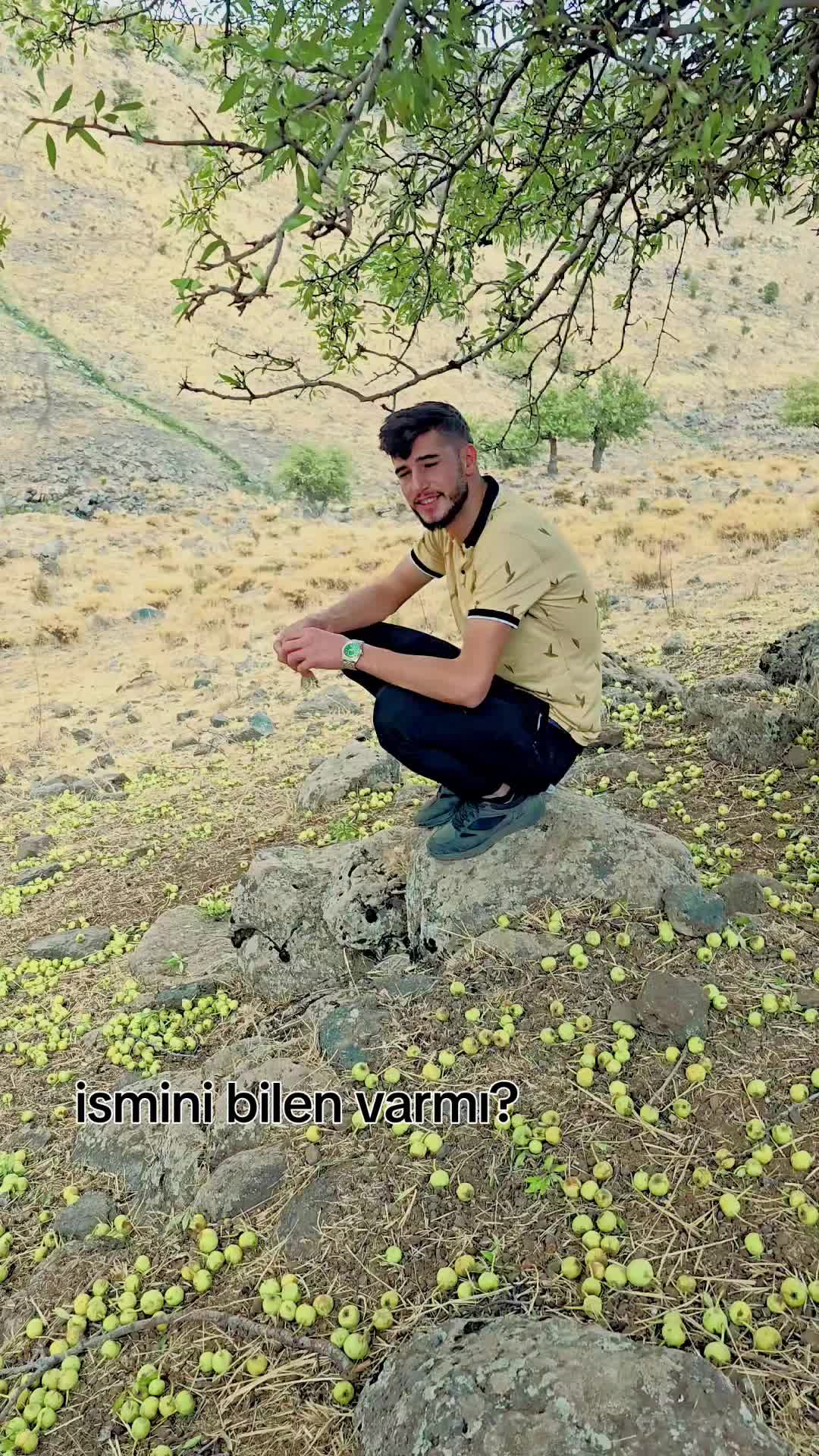 @musti_kara21