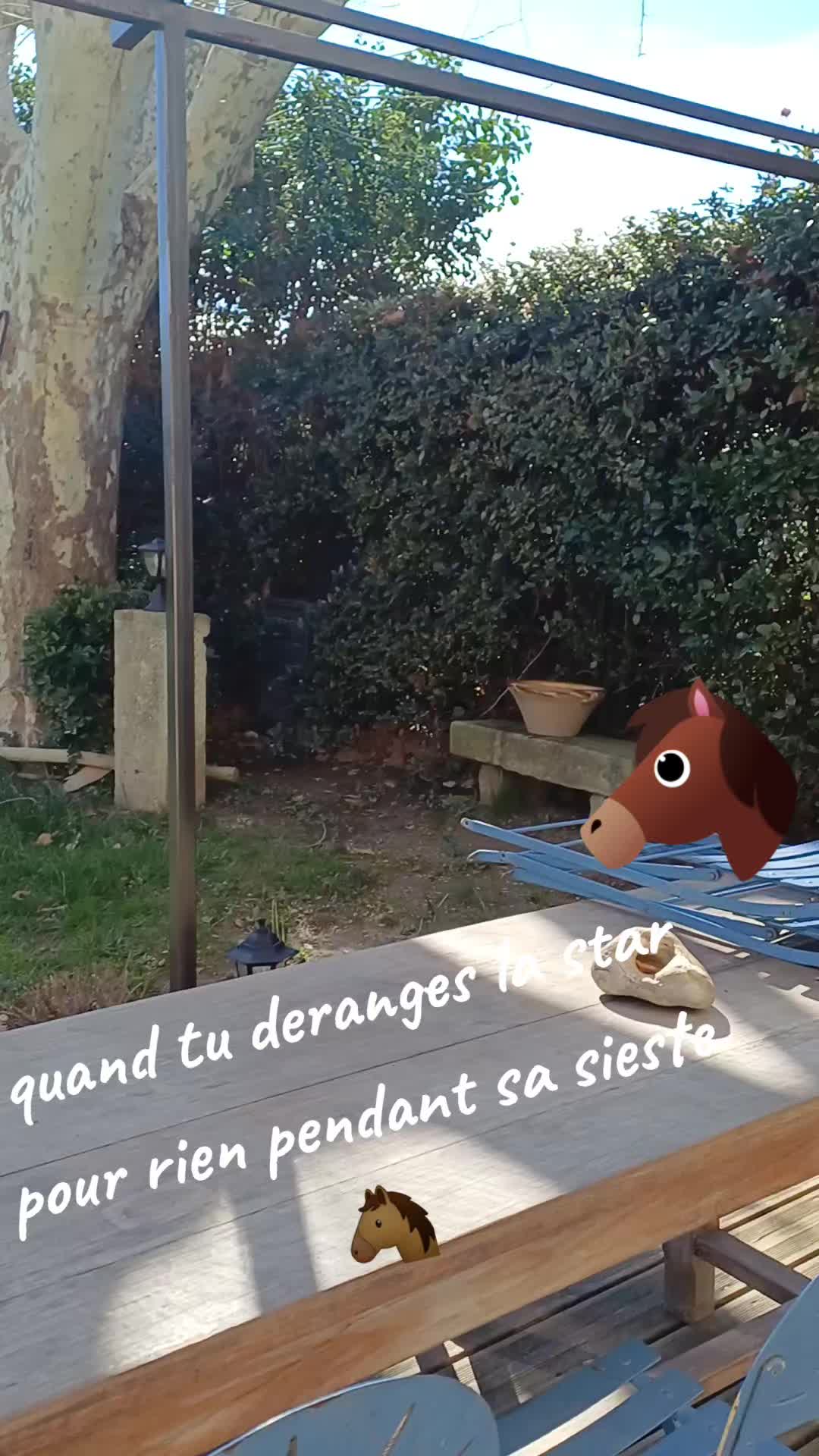 @Chris Reynaud