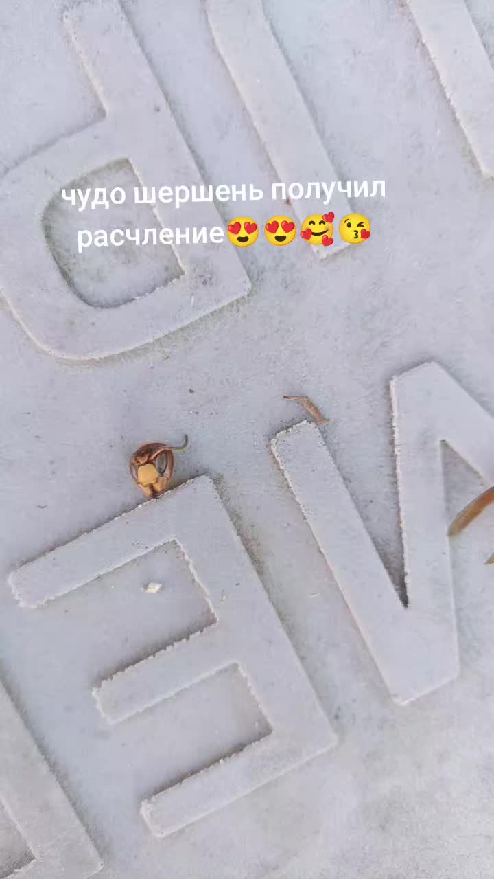 @Андрей