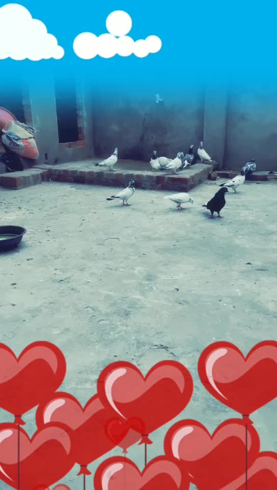 @user sufiyanbaby