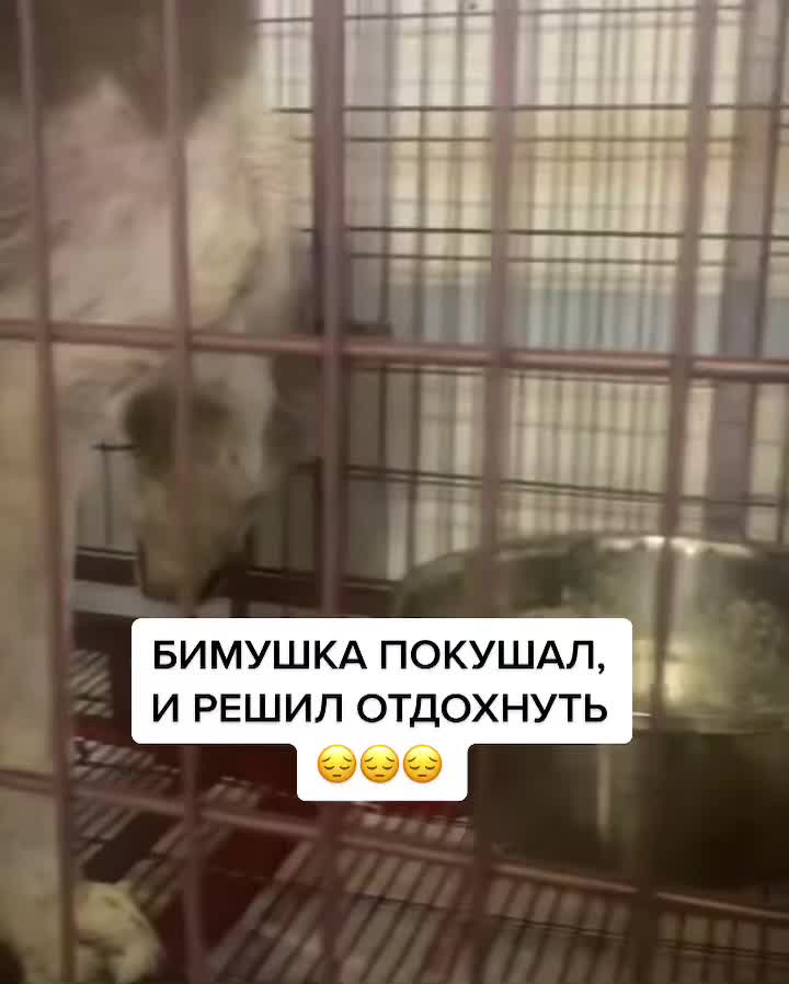 @Елена Белова