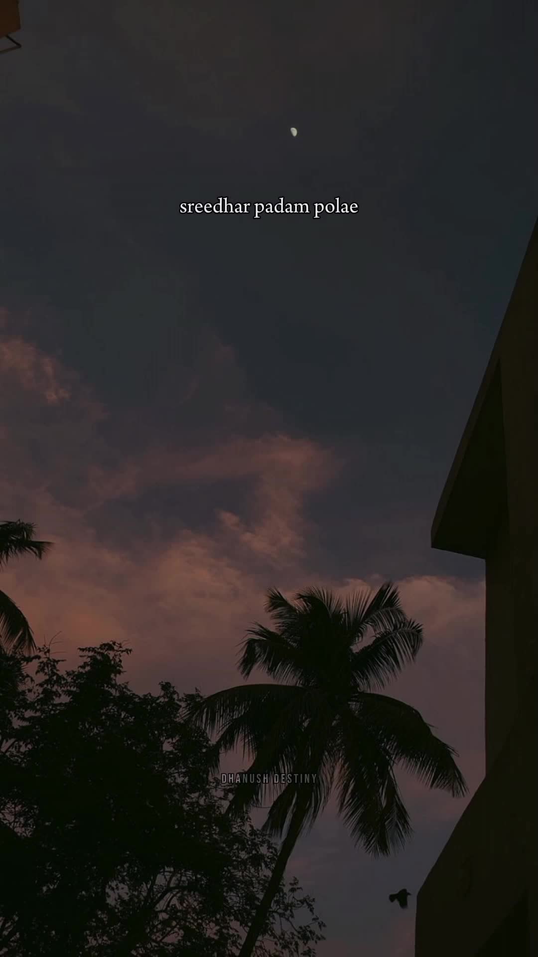 @𝑫𝒉𝒂𝒏𝒖𝒔𝒉_𝒅𝒆𝒔𝒕𝒊𝒏𝒚
