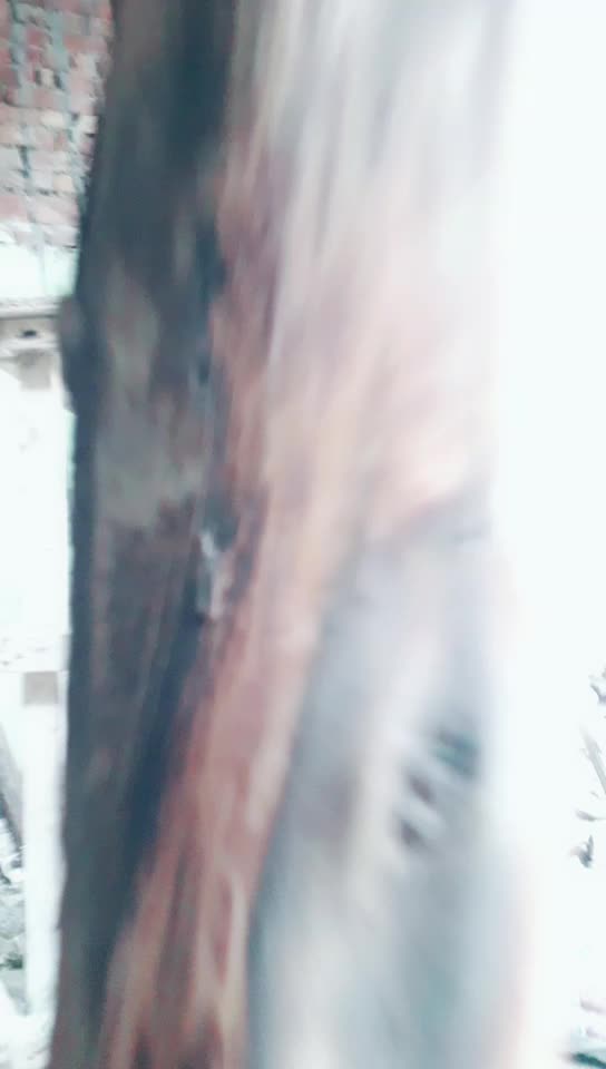 @nokar_peeran_di