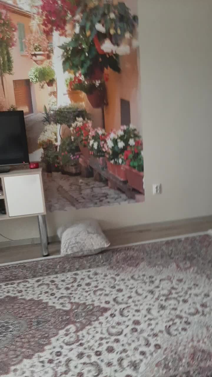 @Паучок