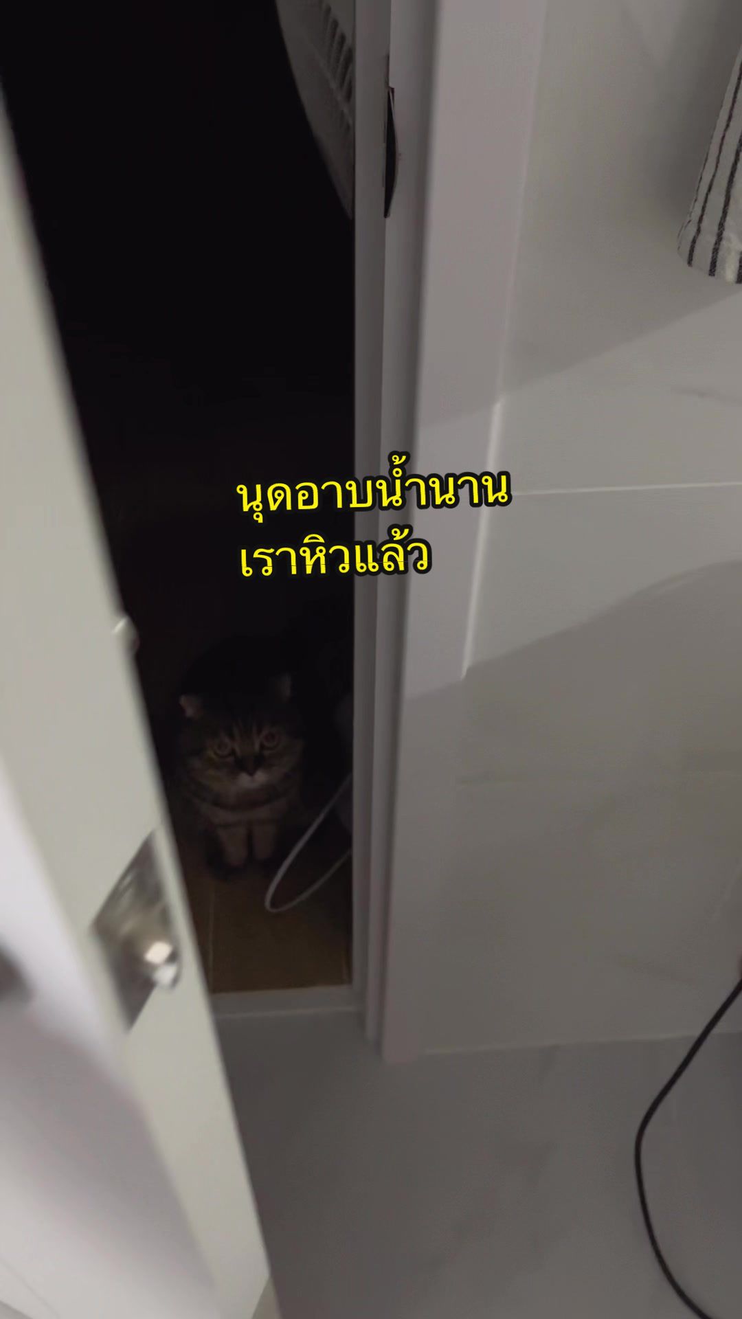 @เชอรี่ขืนใจแมว