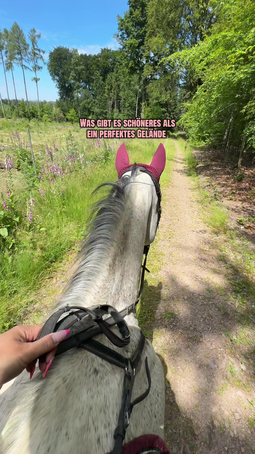 @Lieblings.scheckiii