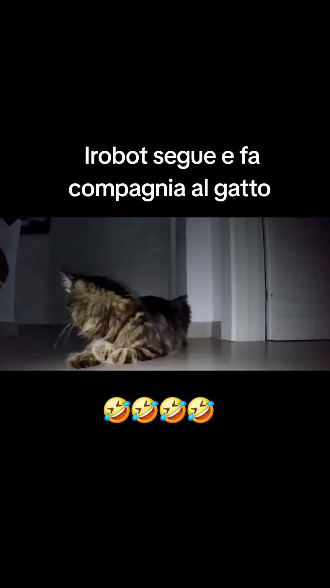 @Artisti djegur